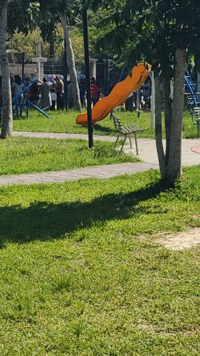 Imagen de publicación