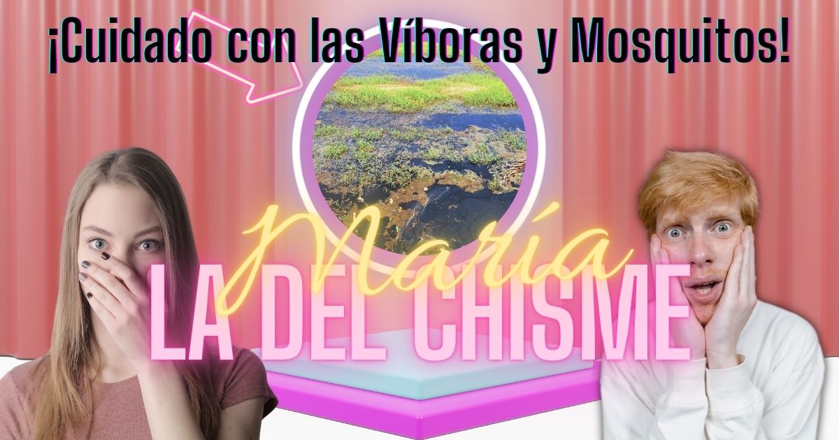 cuidado-con-las-vivoras